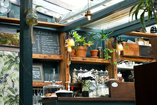 House of Small Wonder